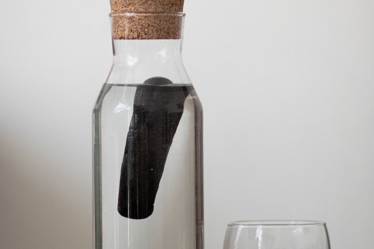 When To Take Activated Charcoal Charas Scientific