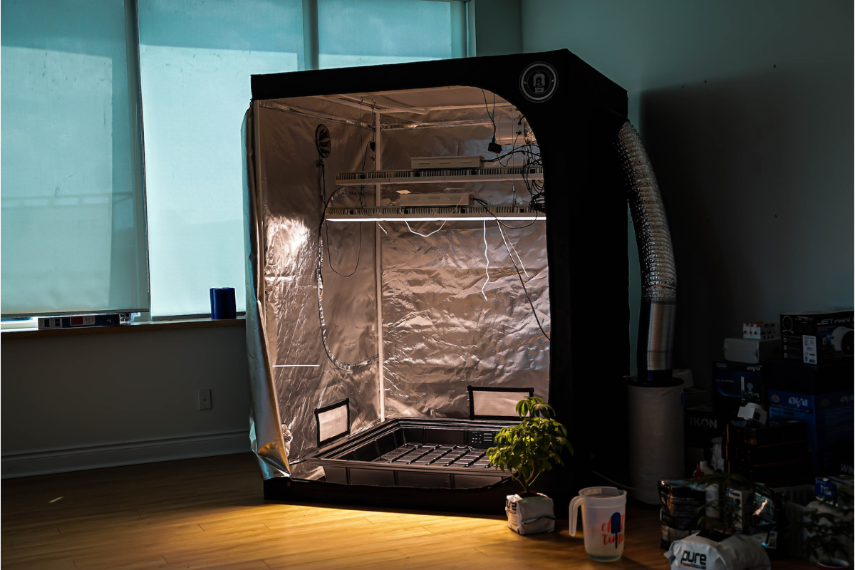4x4 Grow Tent Yield Charas Scientific