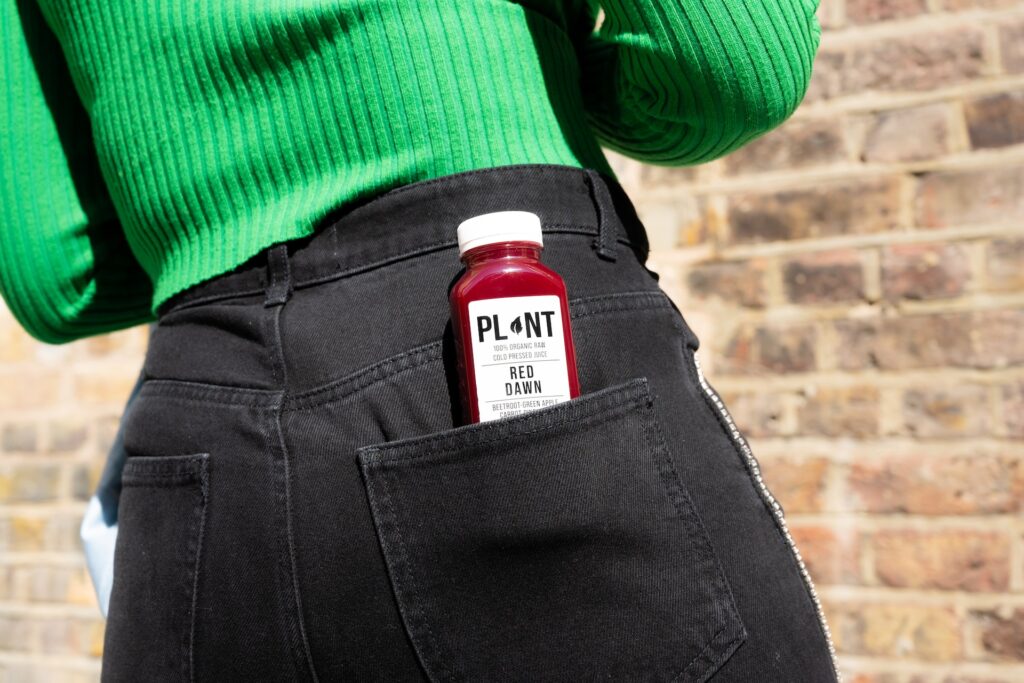 plant JZJswUnrQnY unsplash